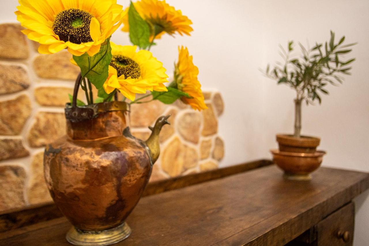 L' Antica Oliviera D'Orcia Apartment ซันกีรีโกดอร์เชีย ภายนอก รูปภาพ
